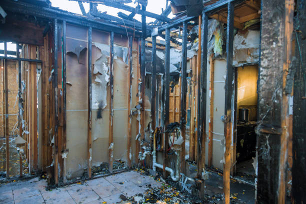 Professional Structural Rebuild technician working in Lake Mary, FL
